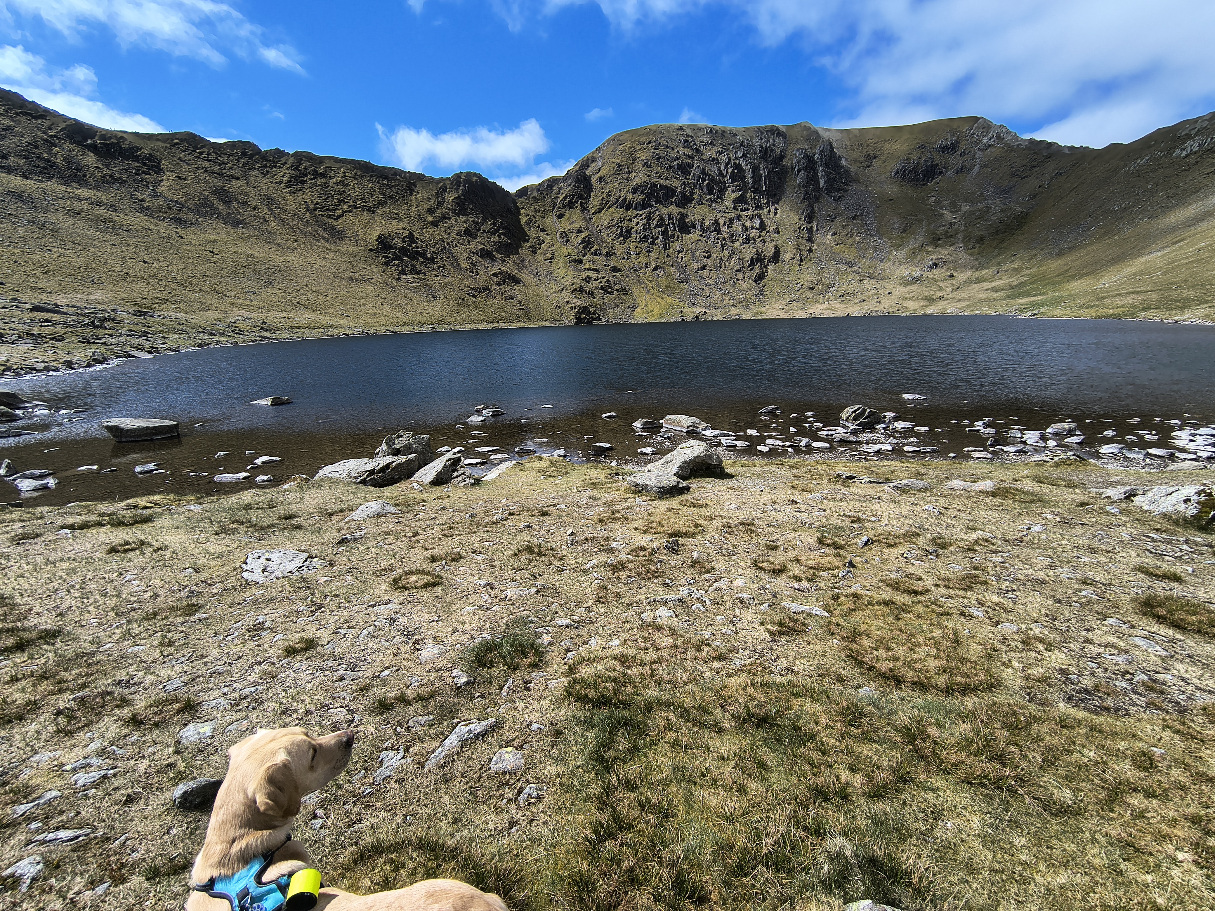 Catstye Cam, Birkhouse Moor - Image 14, May 11, 2026