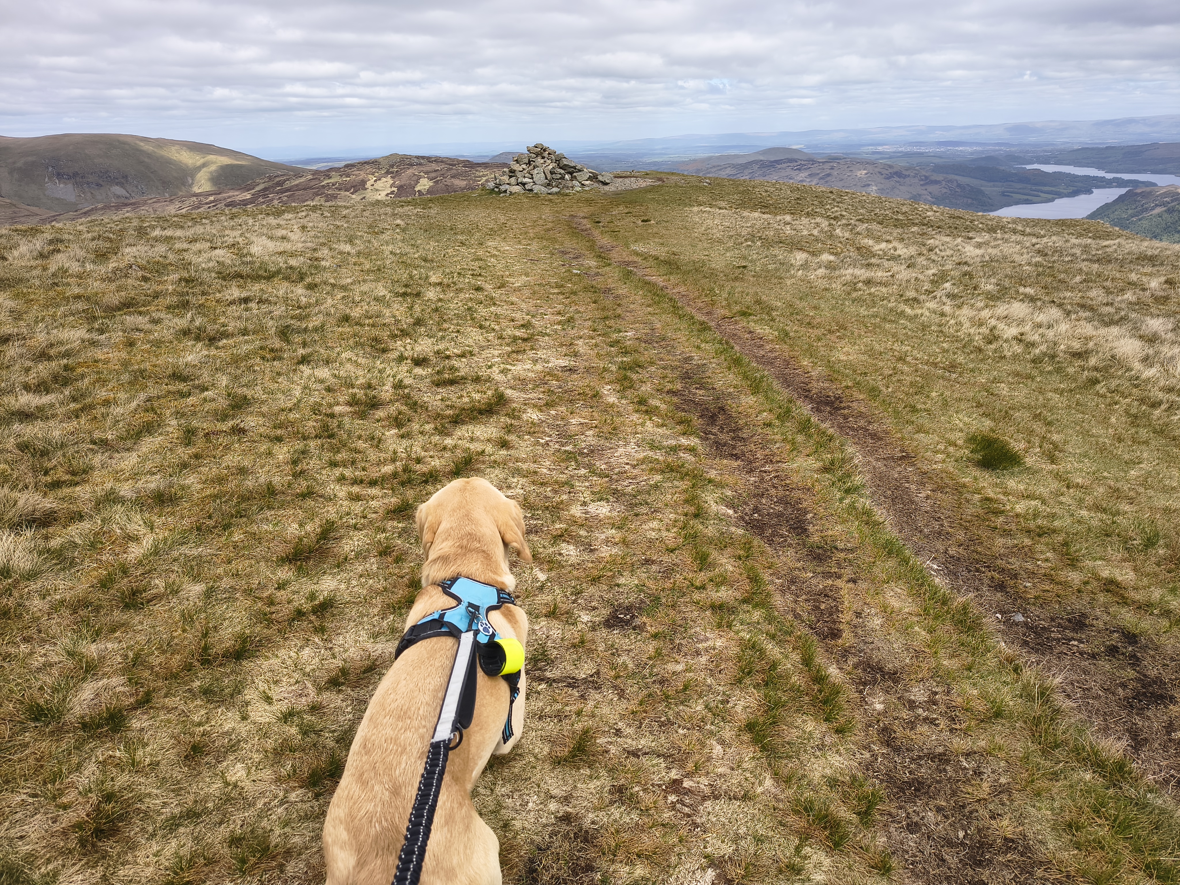Catstye Cam, Birkhouse Moor - Image 17, May 11, 2026