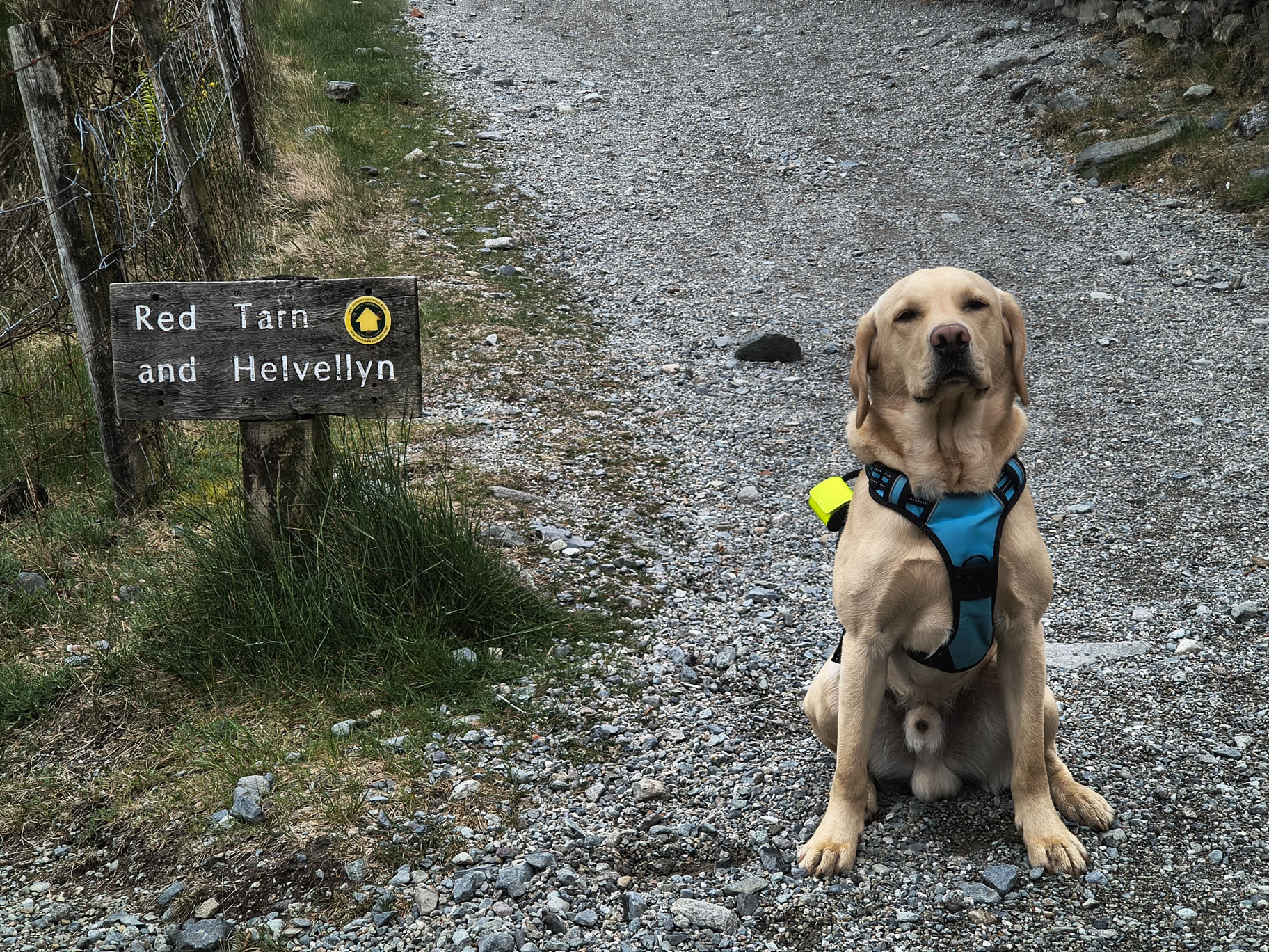 Catstye Cam, Birkhouse Moor - Image 5, May 11, 2026