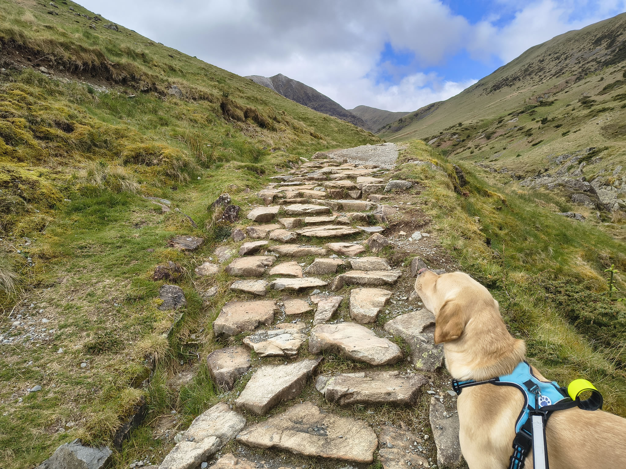 Catstye Cam, Birkhouse Moor - Image 7, May 11, 2026