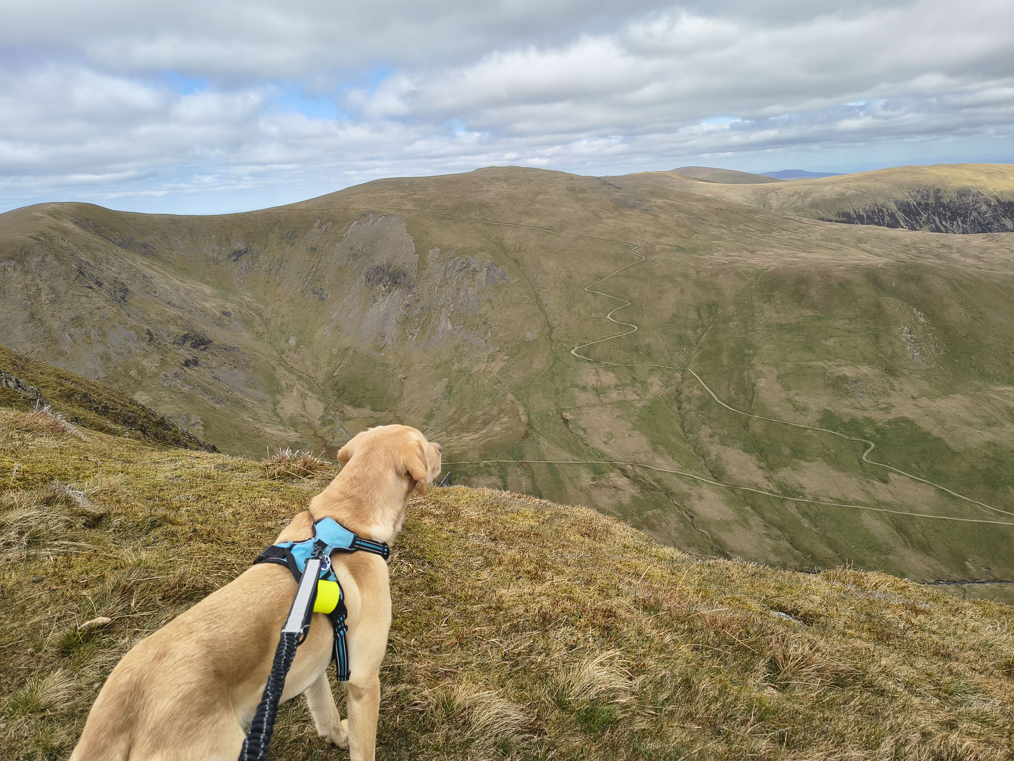 Catstye Cam, Birkhouse Moor - Image 10, May 11, 2026