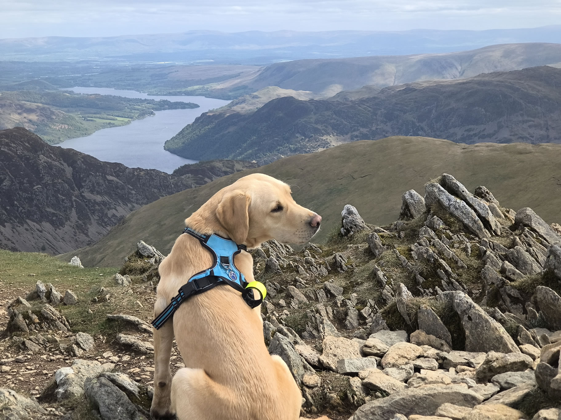 Catstye Cam, Birkhouse Moor - Image 11, May 11, 2026