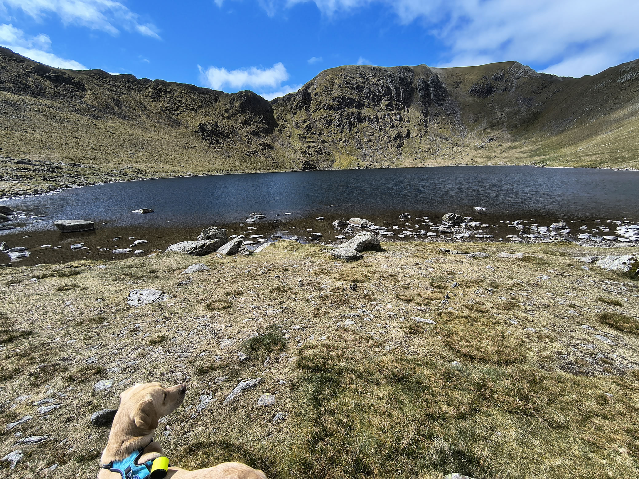 Catstye Cam, Birkhouse Moor - Image 14, May 11, 2026