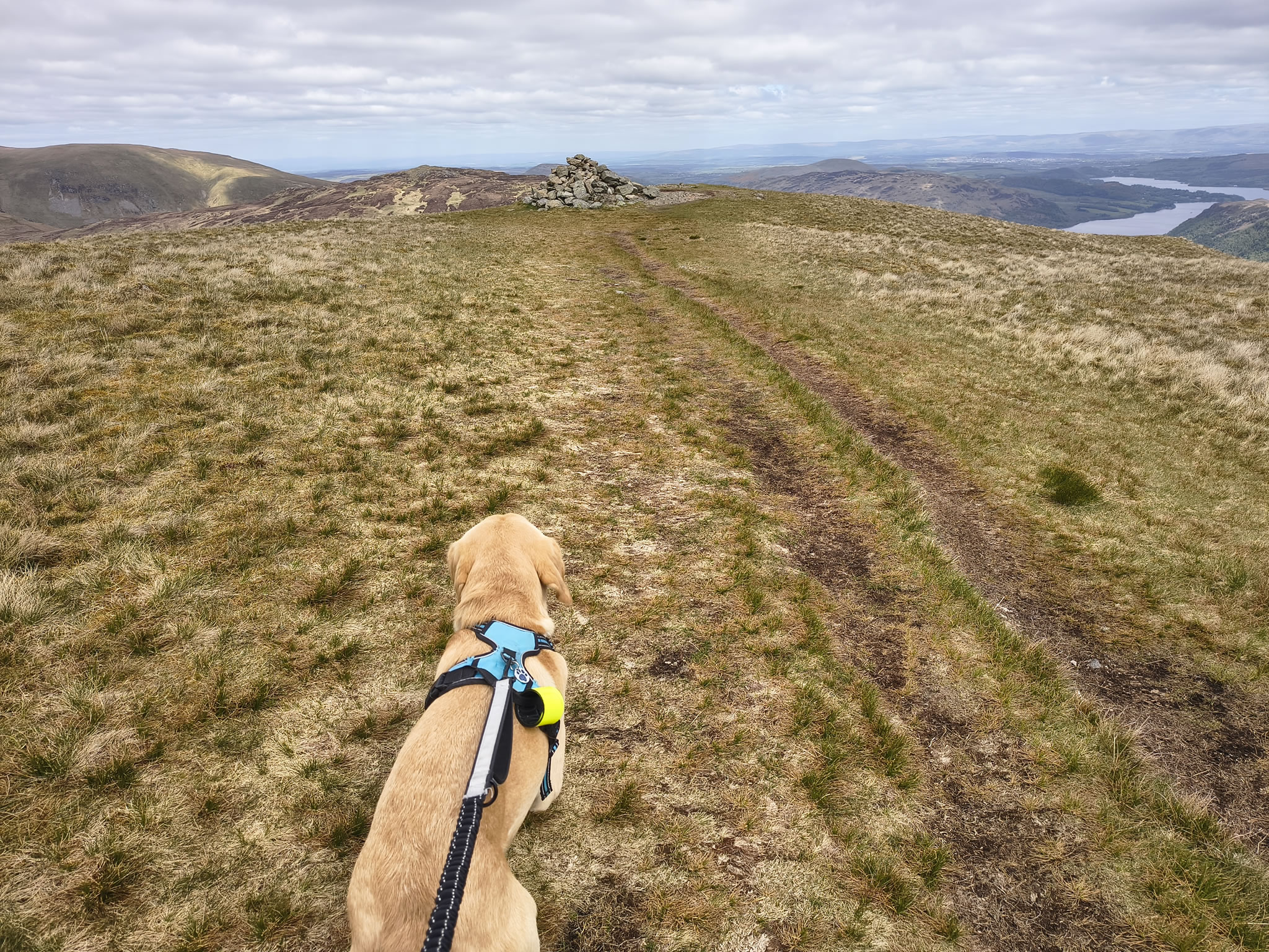 Catstye Cam, Birkhouse Moor - Image 17, May 11, 2026