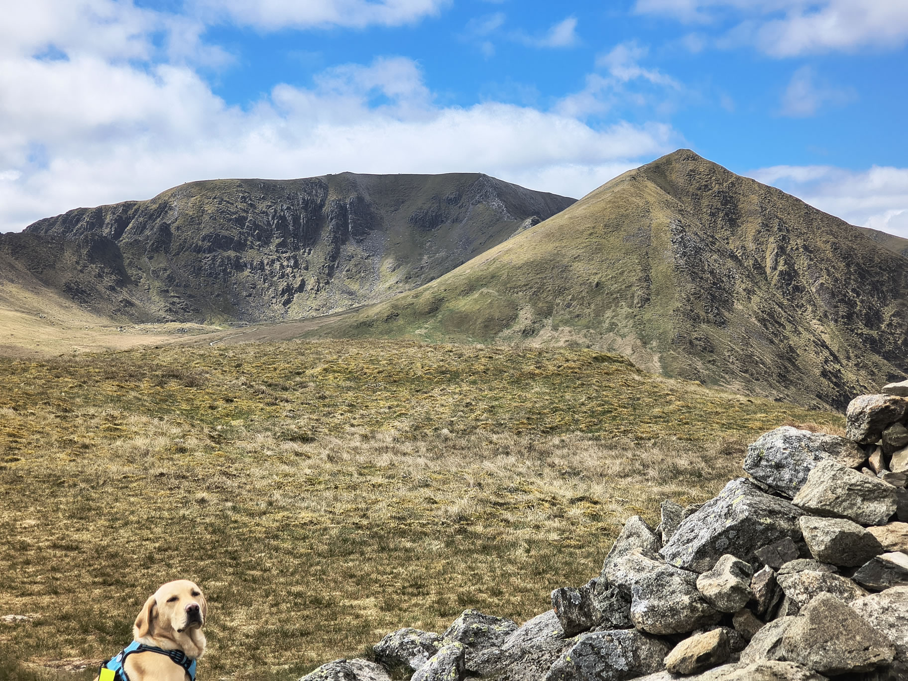 Catstye Cam, Birkhouse Moor - Image 18, May 11, 2026