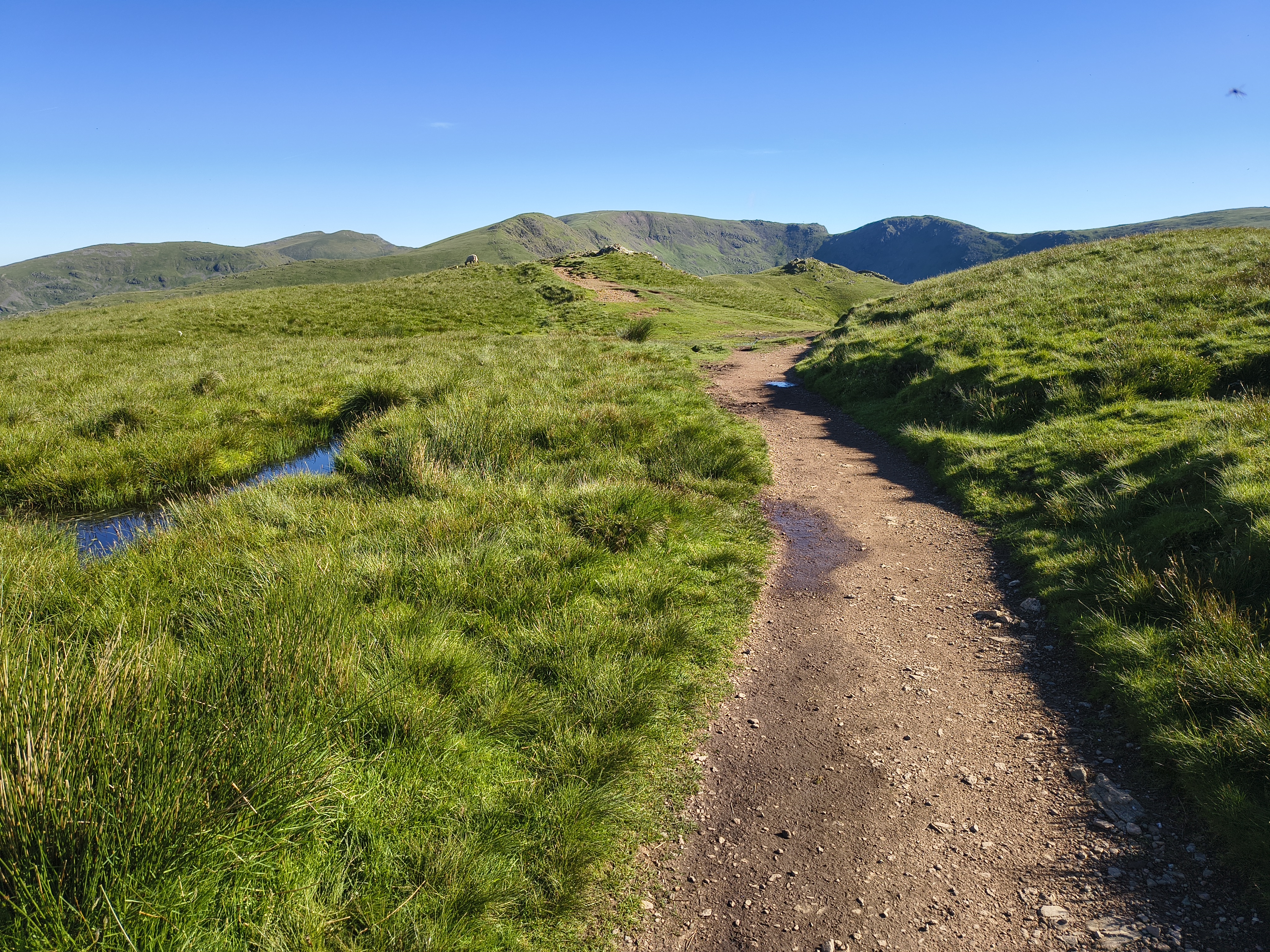 A Fairfield Horseshoe - Image 10, Jun 21, 2026