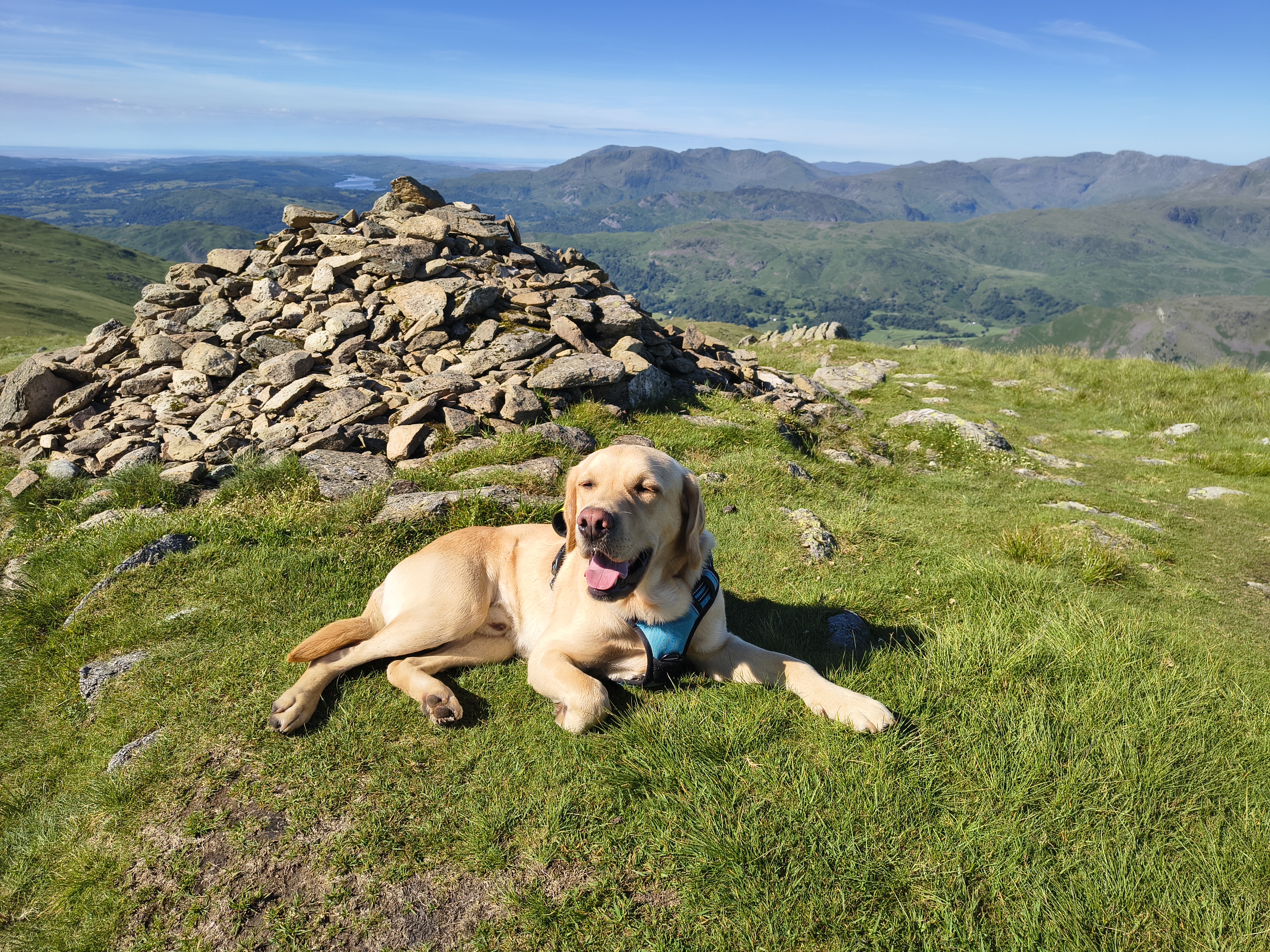 A Fairfield Horseshoe - Image 12, Jun 21, 2026