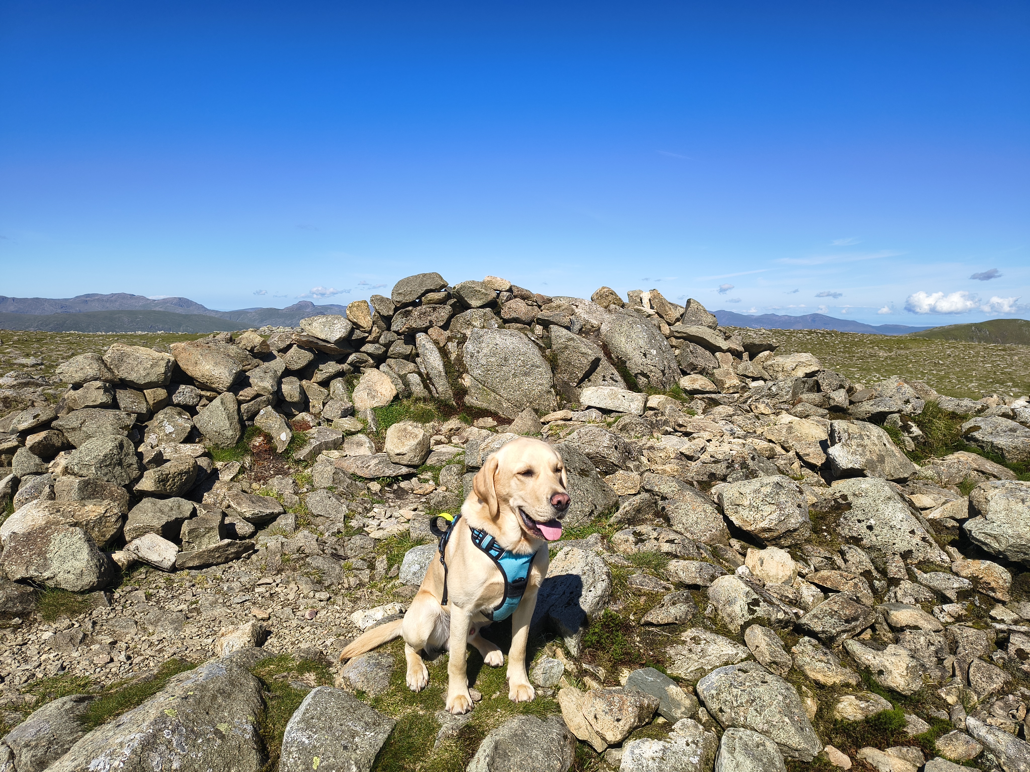 A Fairfield Horseshoe - Image 14, Jun 21, 2026