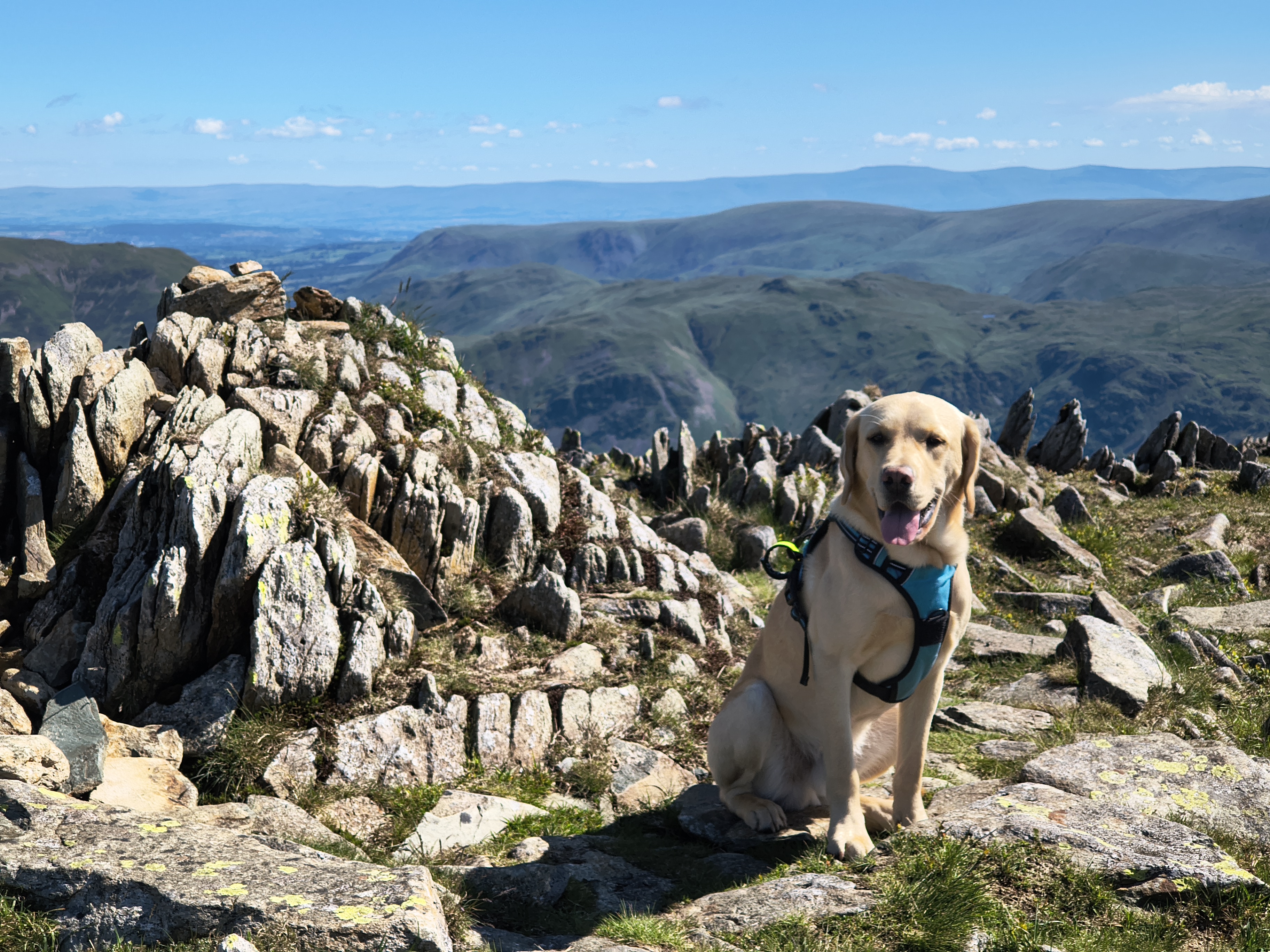 A Fairfield Horseshoe - Image 17, Jun 21, 2026