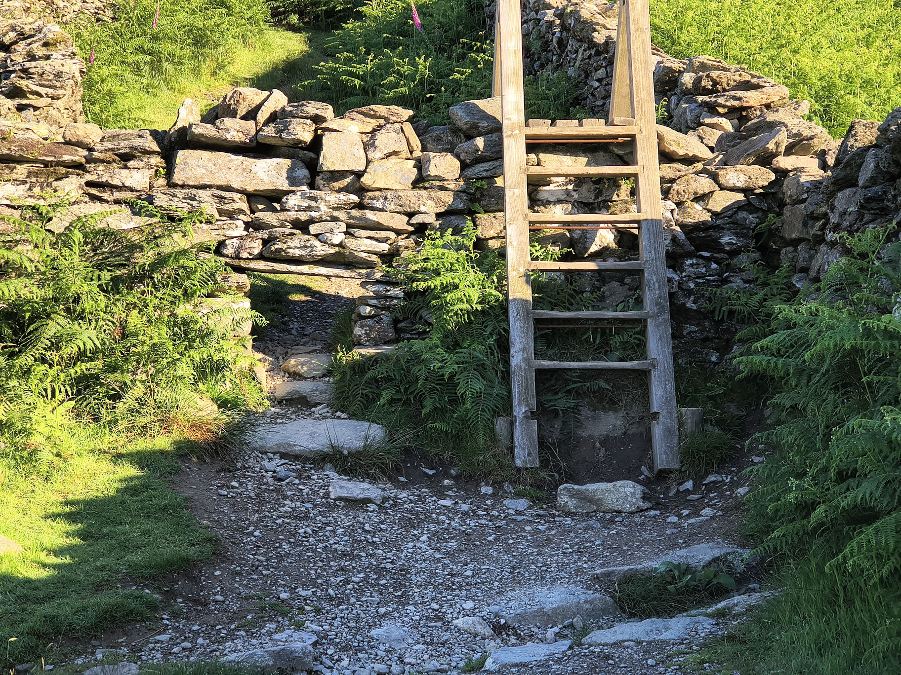 A Fairfield Horseshoe - Image 5, Jun 21, 2026