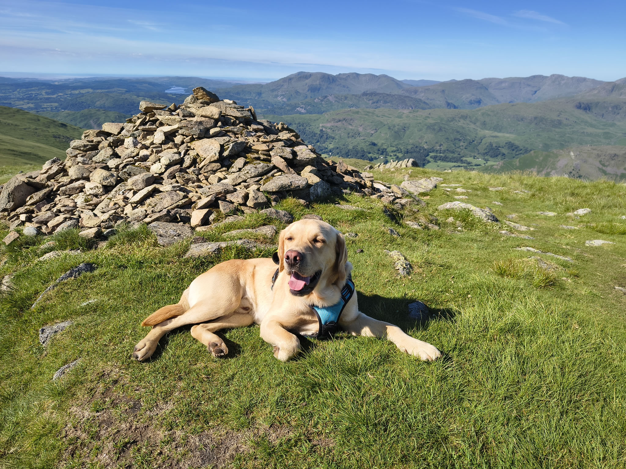 A Fairfield Horseshoe - Image 12, Jun 21, 2026