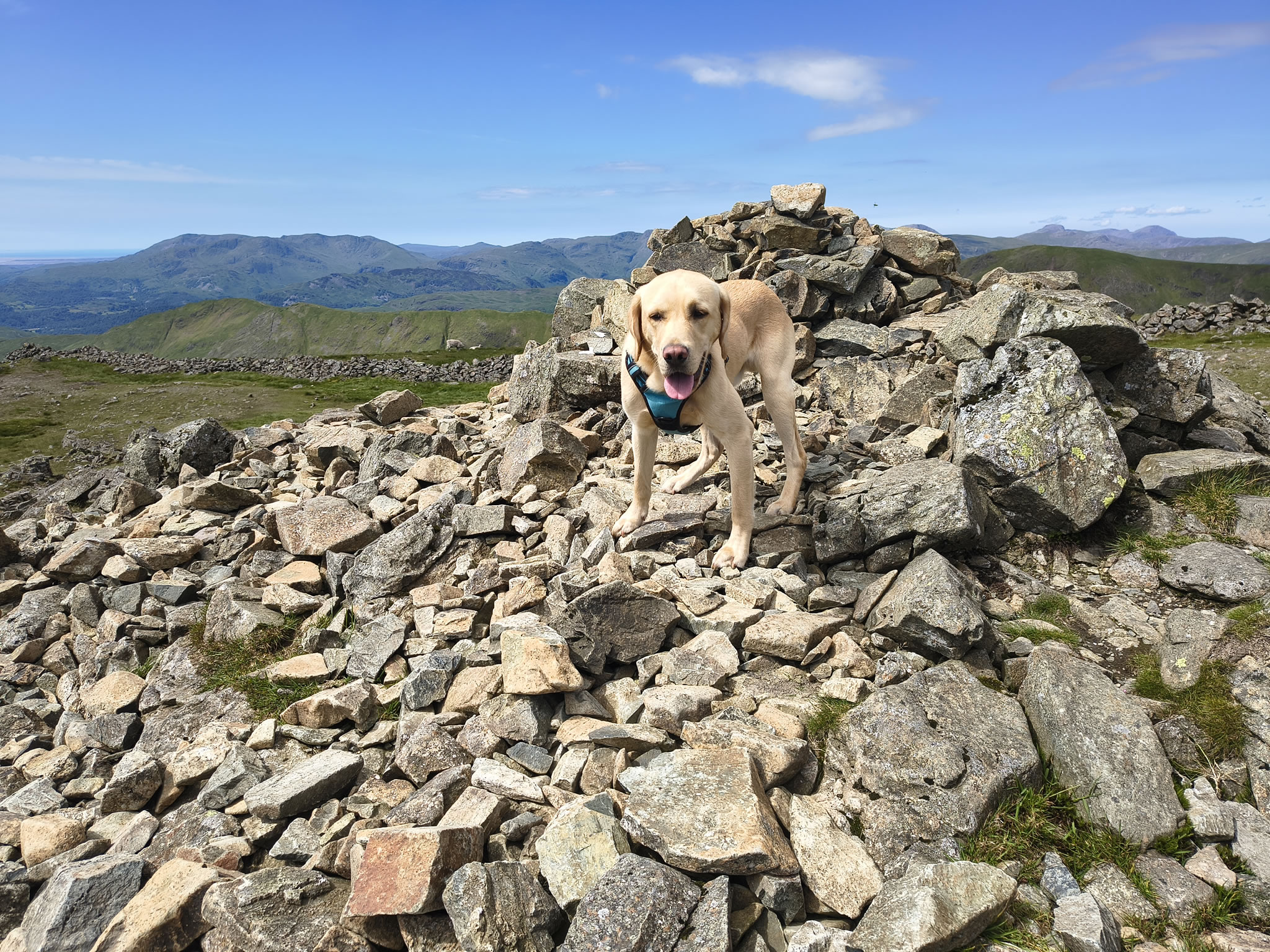 A Fairfield Horseshoe - Image 21, Jun 21, 2026