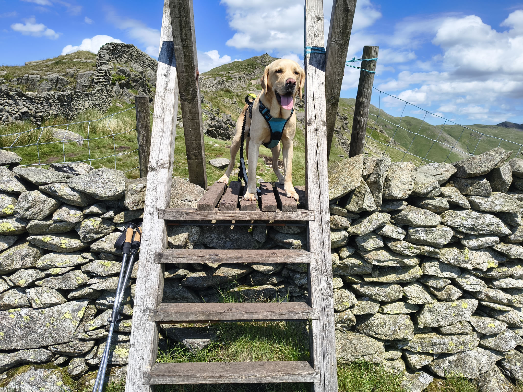 A Fairfield Horseshoe - Image 24, Jun 21, 2026