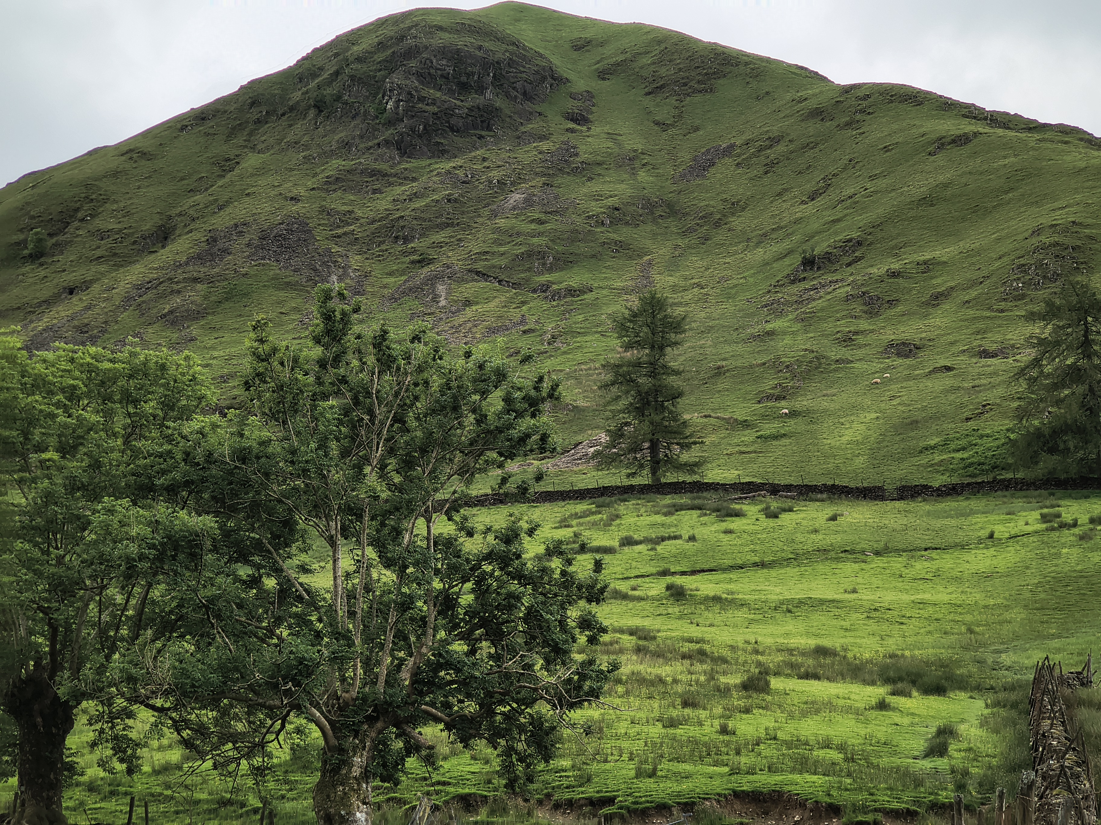Hartsop Dodd, Caudale - Image 3, Jun 22, 2026