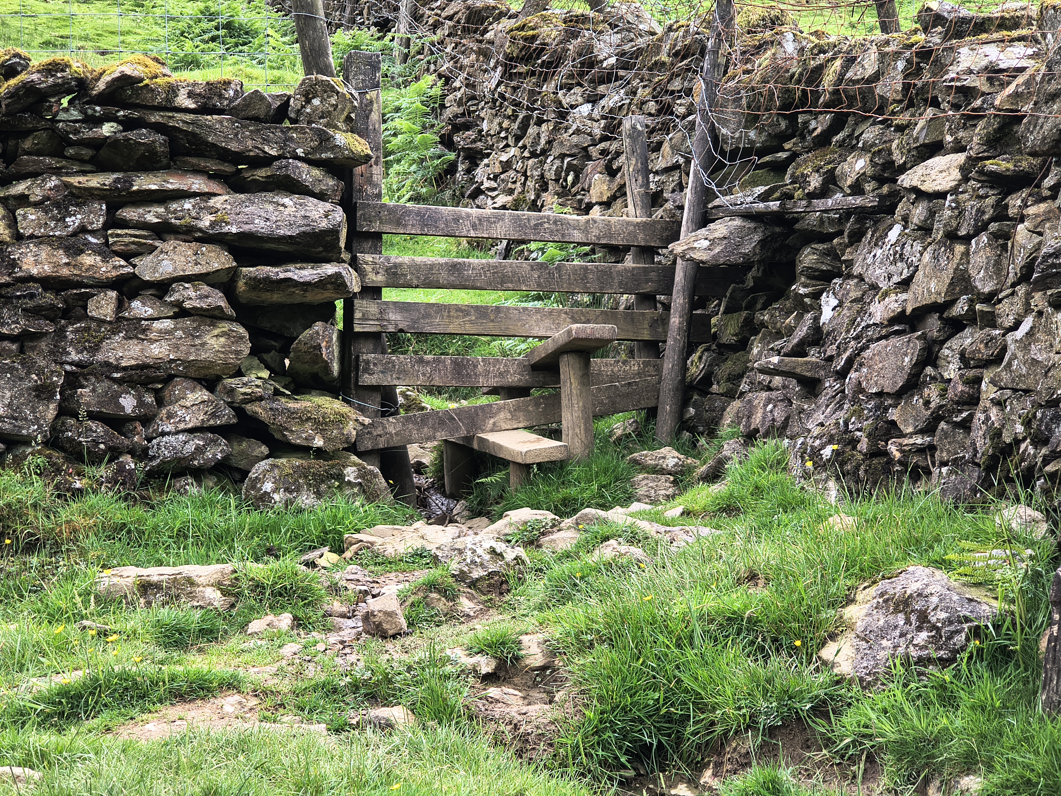 Hartsop Dodd, Caudale - Image 4, Jun 22, 2026