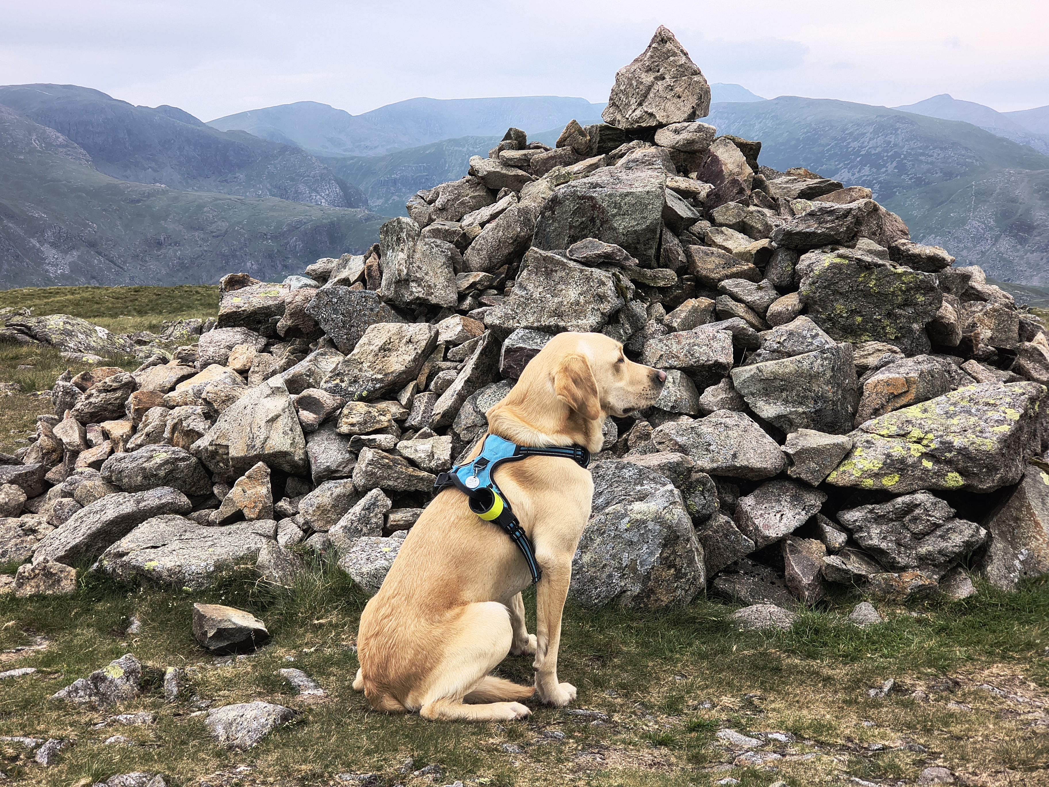 Hartsop Dodd, Caudale - Image 9, Jun 22, 2026