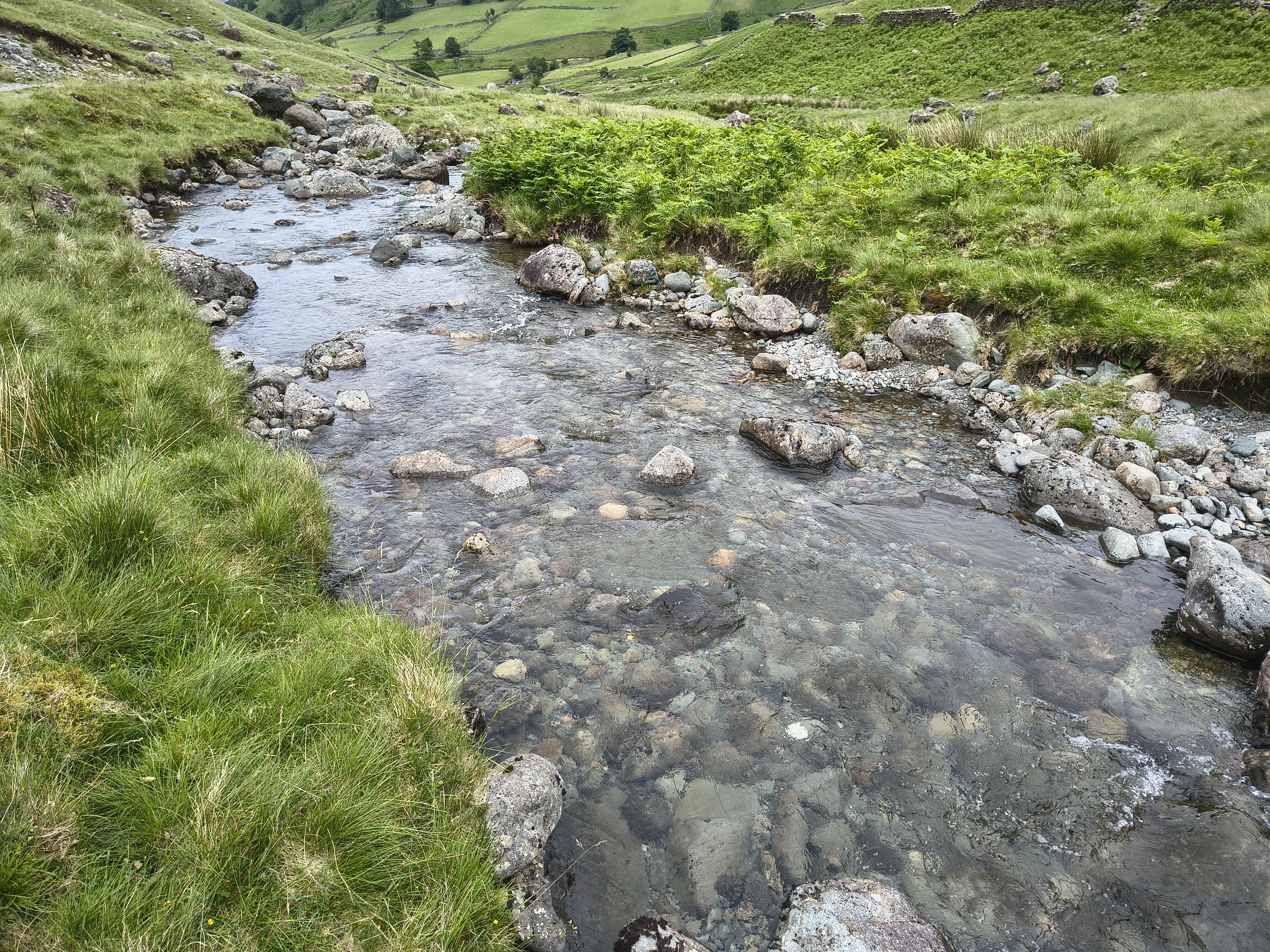 Hartsop Dodd, Caudale - Image 16, Jun 22, 2026