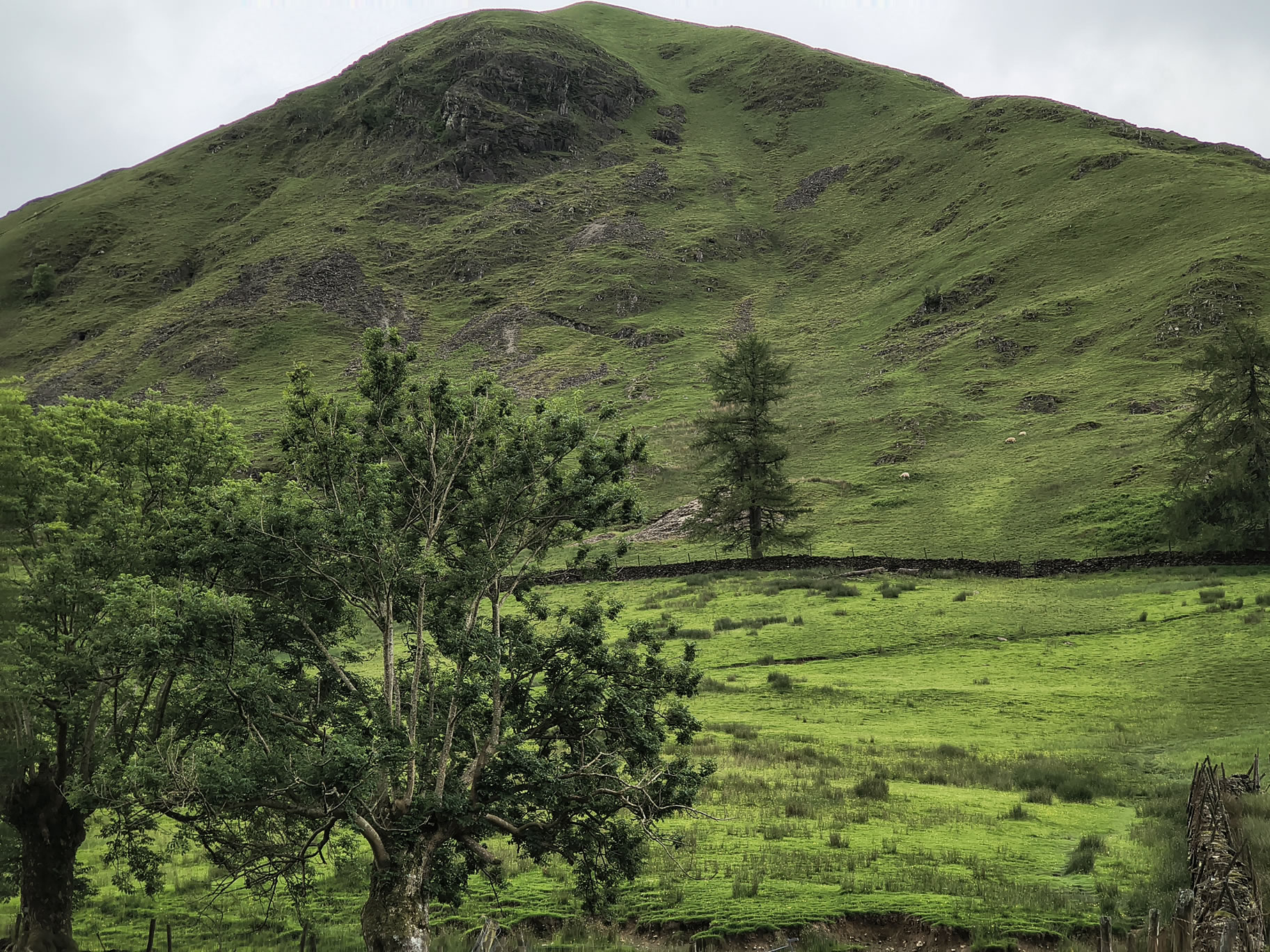 Hartsop Dodd, Caudale - Image 3, Jun 22, 2026
