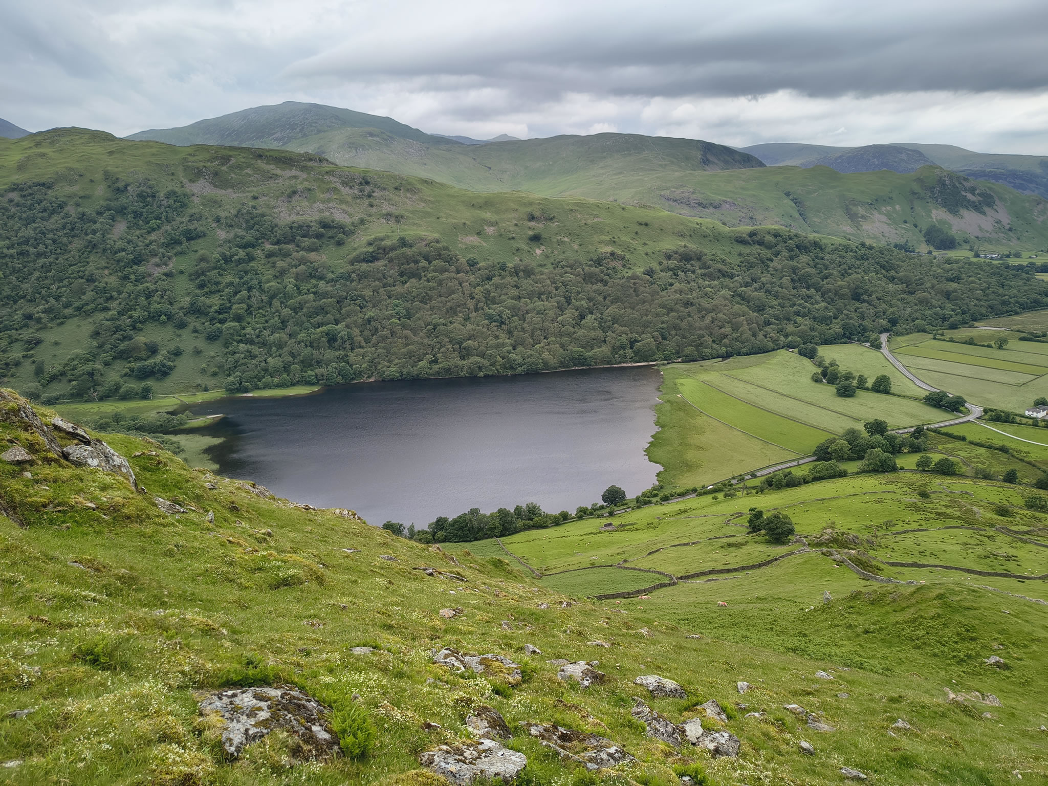 Hartsop Dodd, Caudale - Image 5, Jun 22, 2026