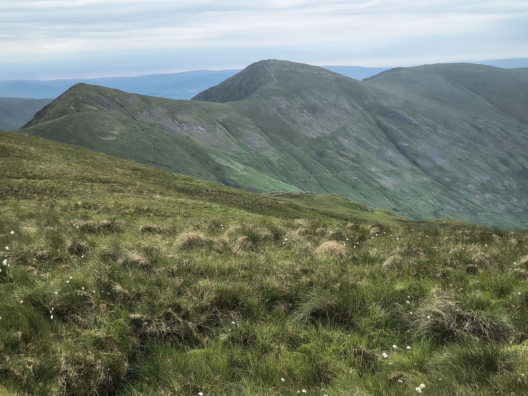 Hartsop Dodd, Caudale - Image 12, Jun 22, 2026