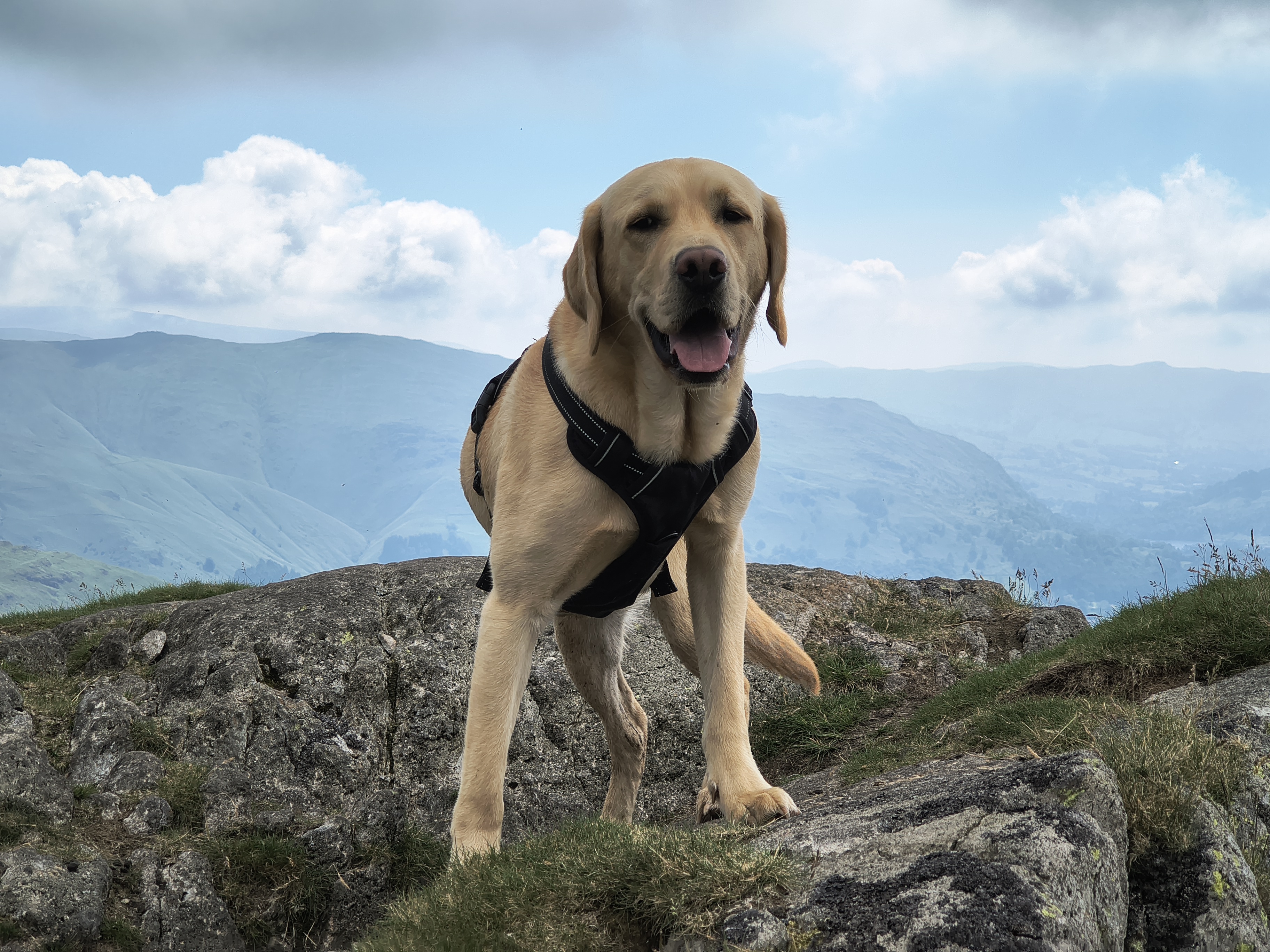 Helm Crag Circular - Image 1, Jun 24, 2026
