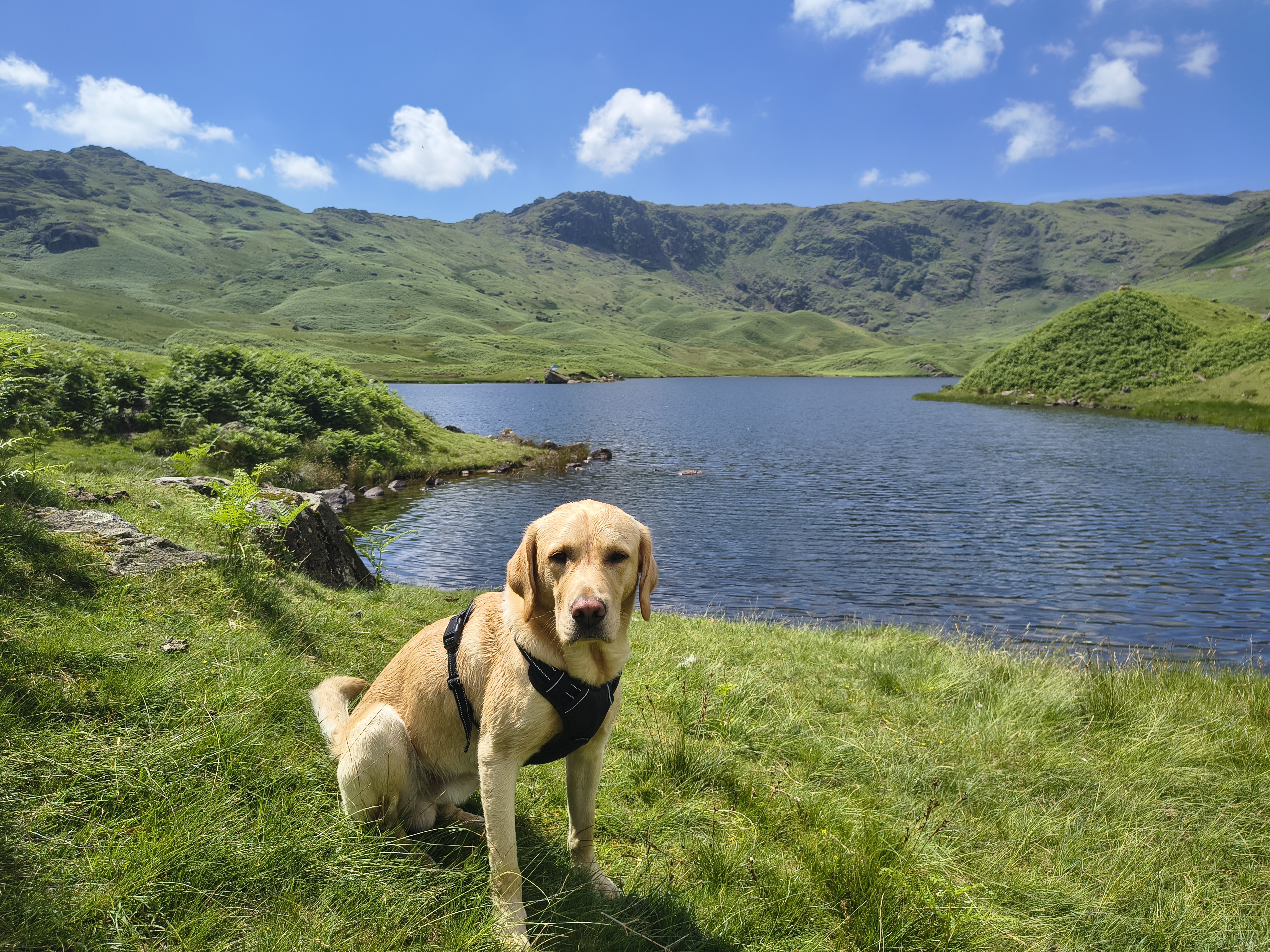 Helm Crag Circular - Image 23, Jun 24, 2026