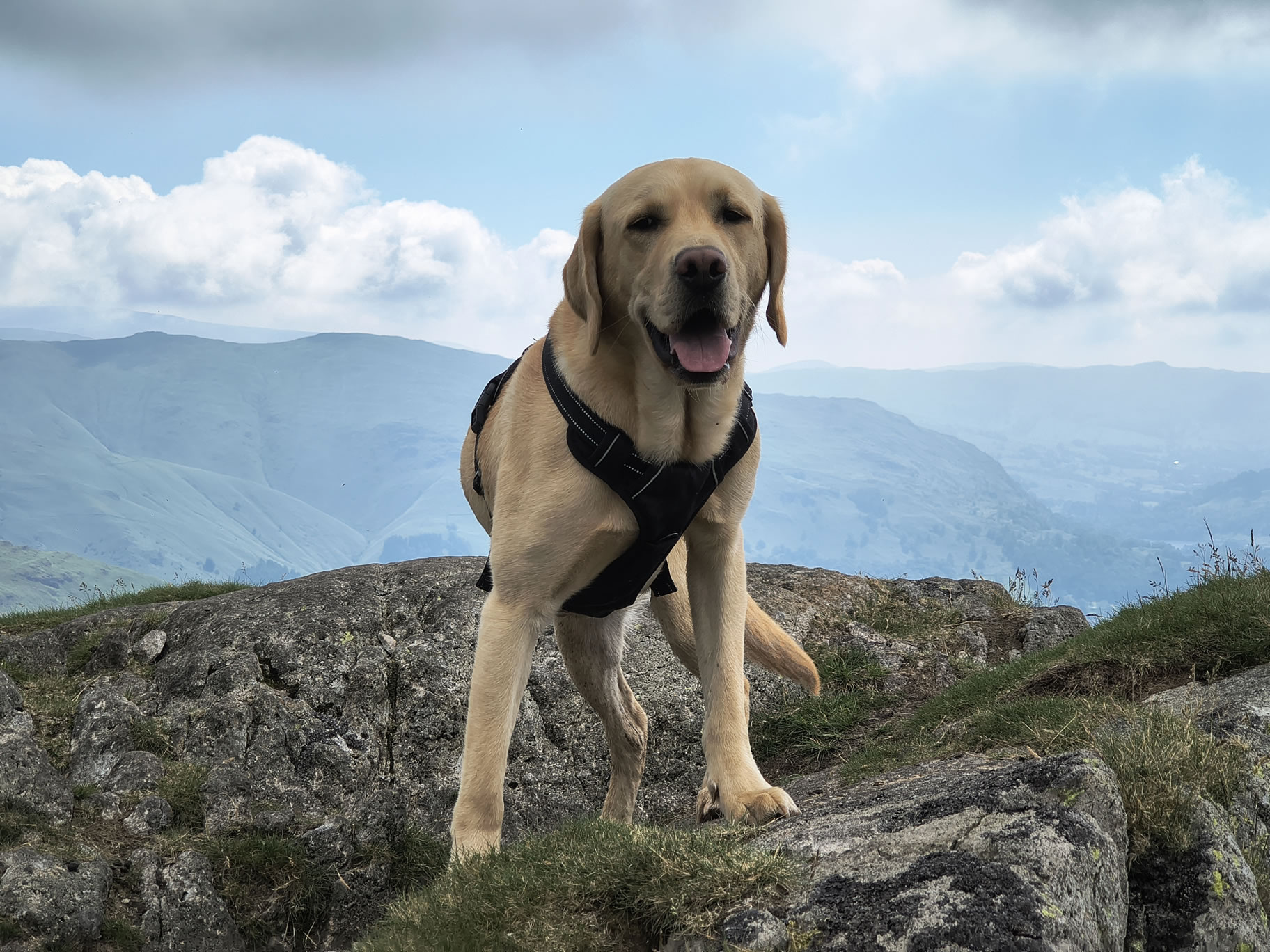 Helm Crag Circular - Image 1, Jun 24, 2026