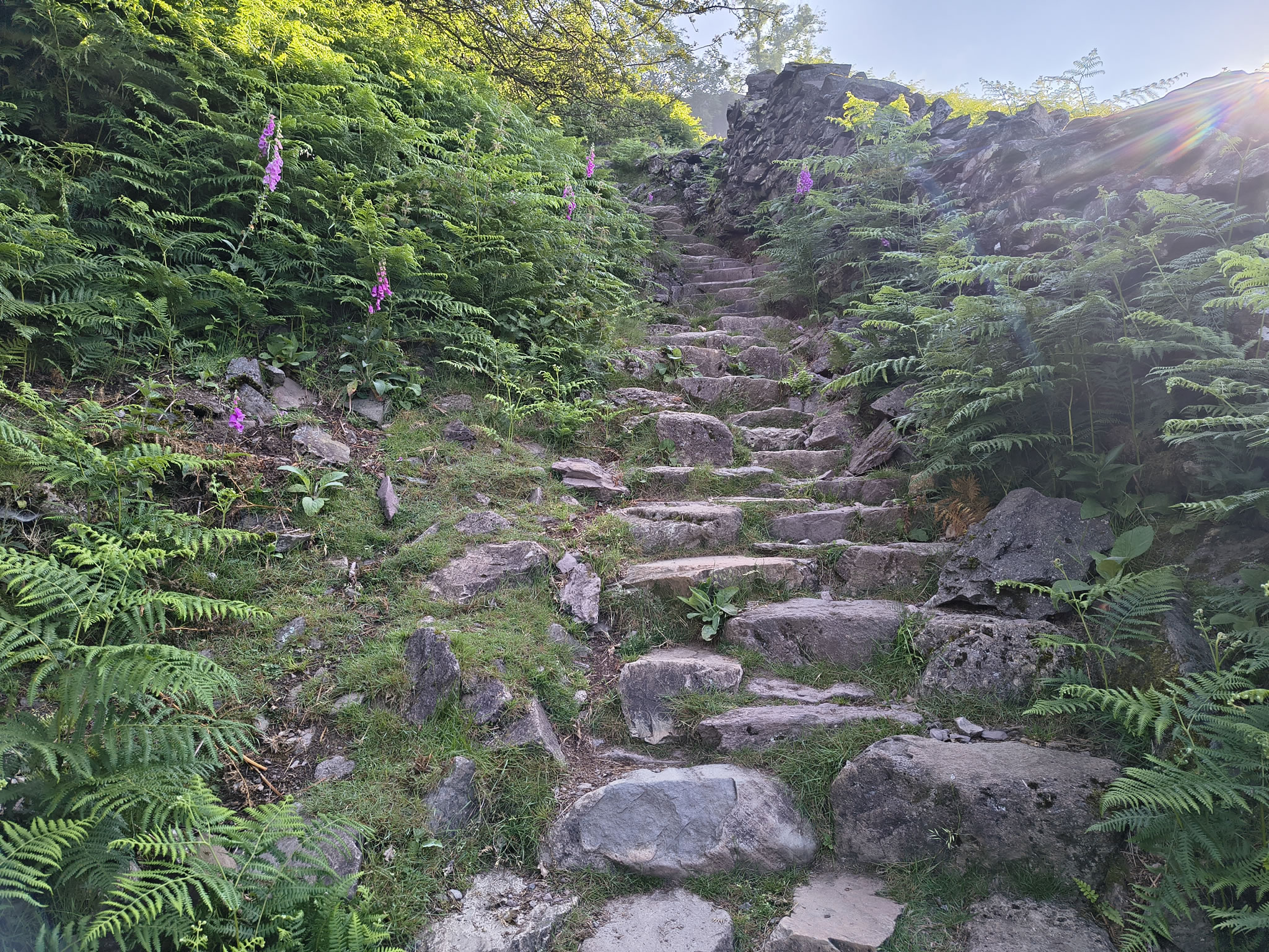 Helm Crag Circular - Image 8, Jun 24, 2026
