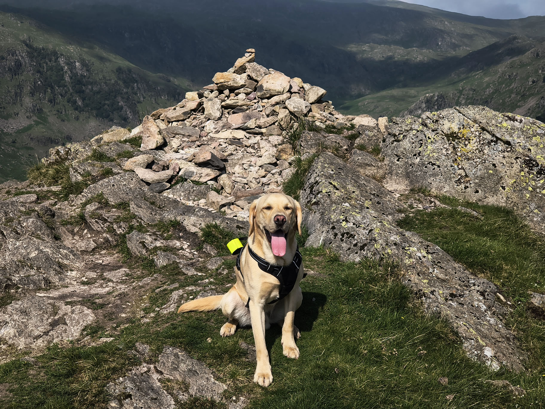 Helm Crag Circular - Image 13, Jun 24, 2026