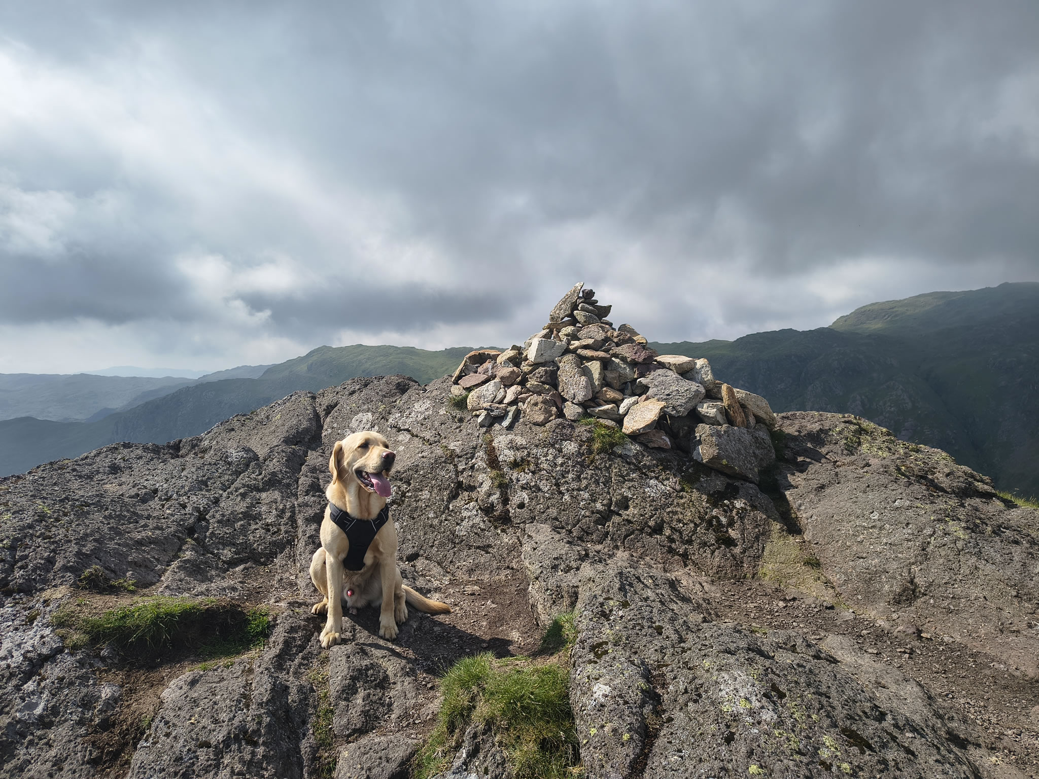Helm Crag Circular - Image 14, Jun 24, 2026