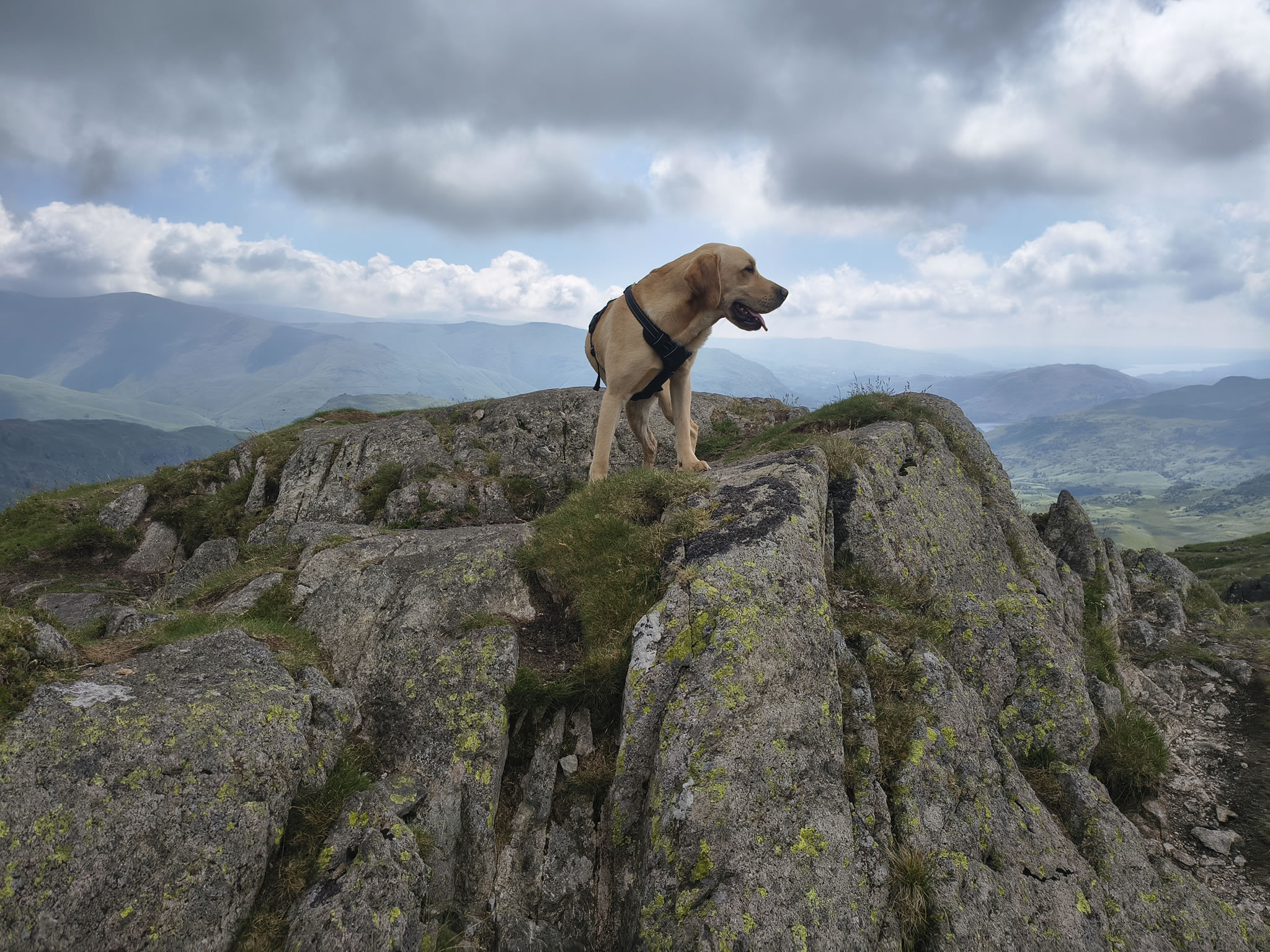 Helm Crag Circular - Image 17, Jun 24, 2026