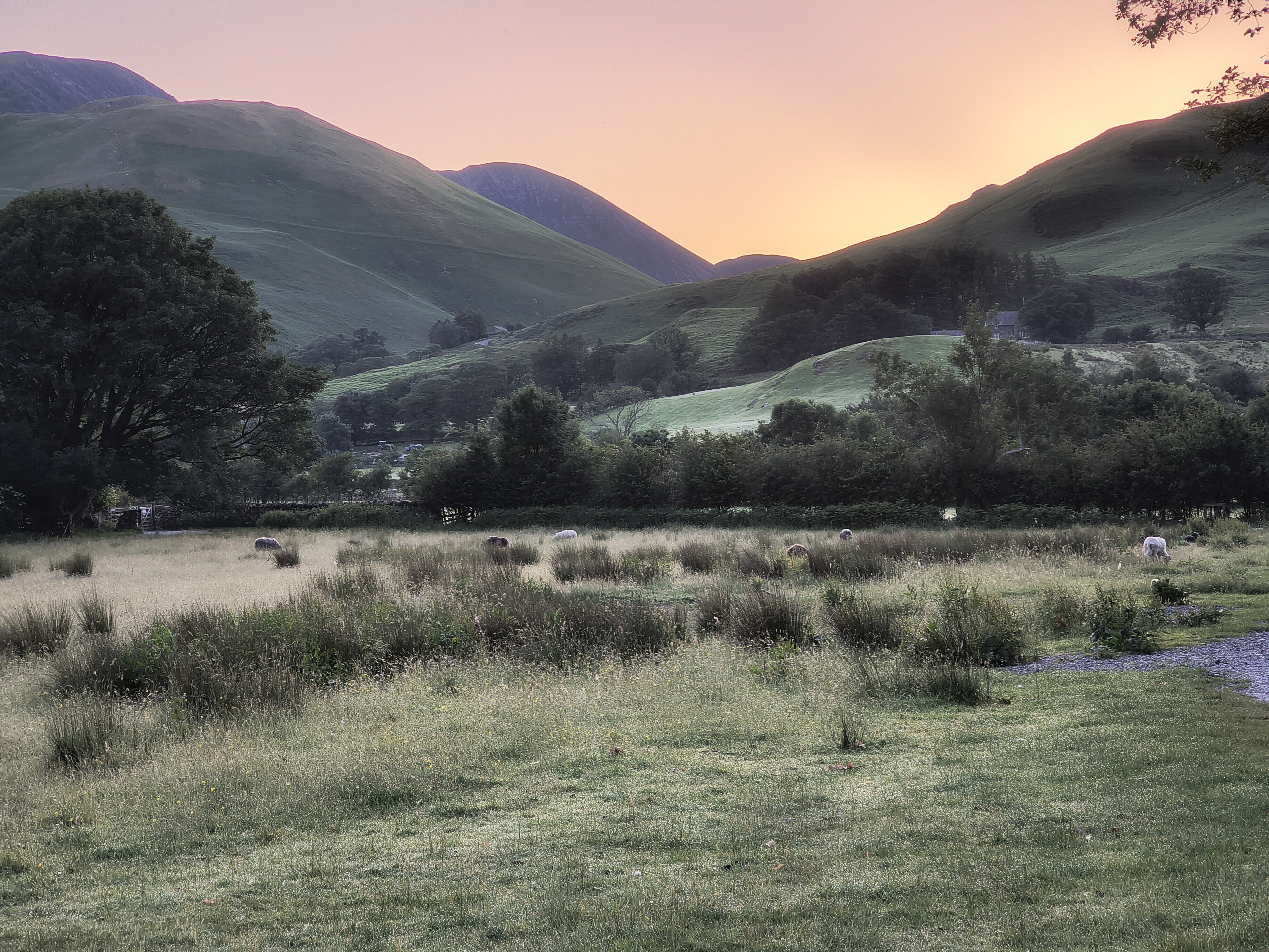 Buttermere Reflections - Image 4, Jun 25, 2026