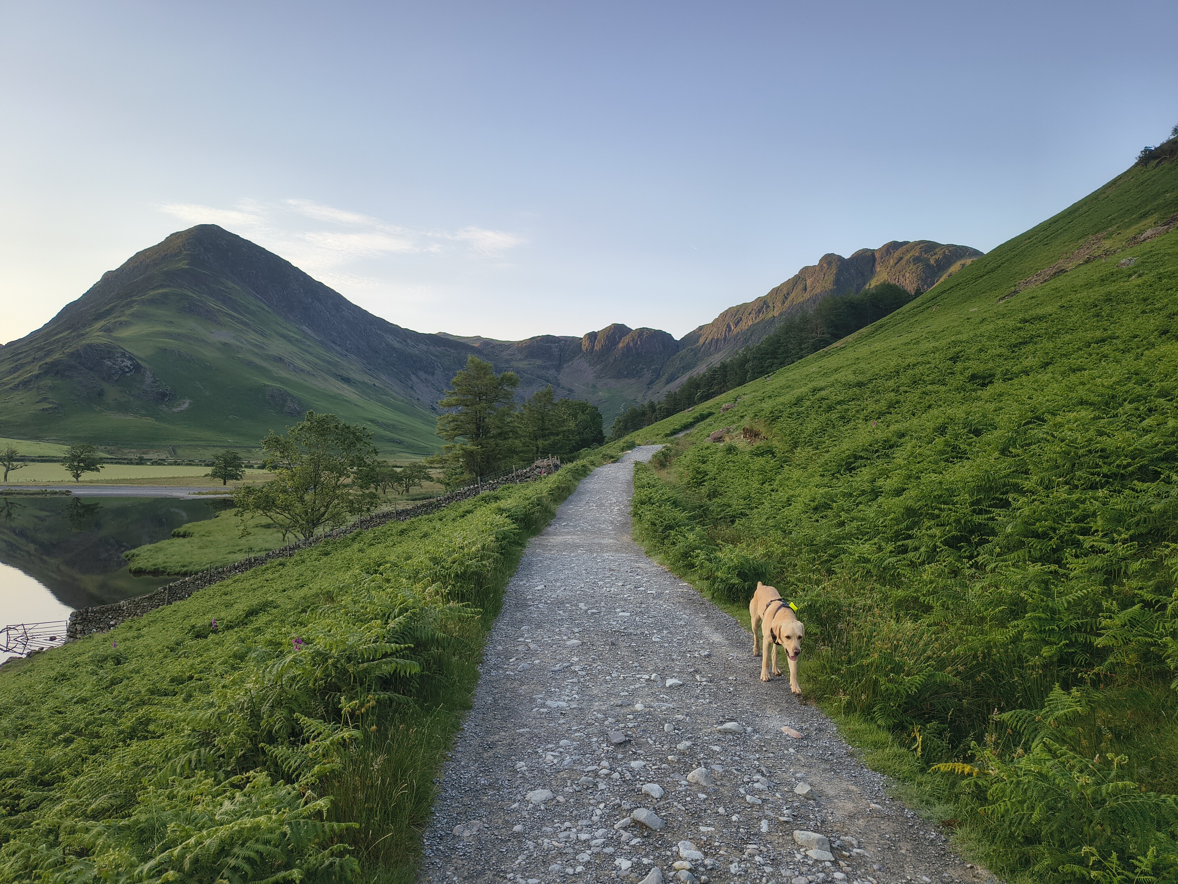 Buttermere Reflections - Image 8, Jun 25, 2026