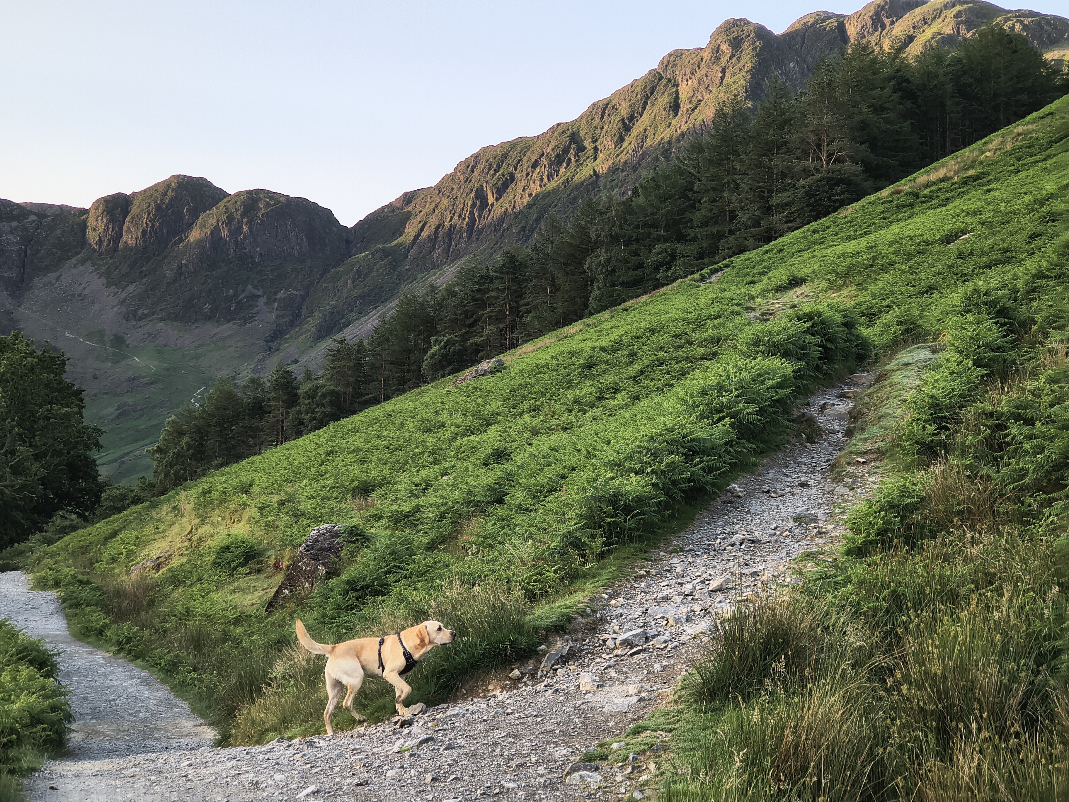 Buttermere Reflections - Image 9, Jun 25, 2026