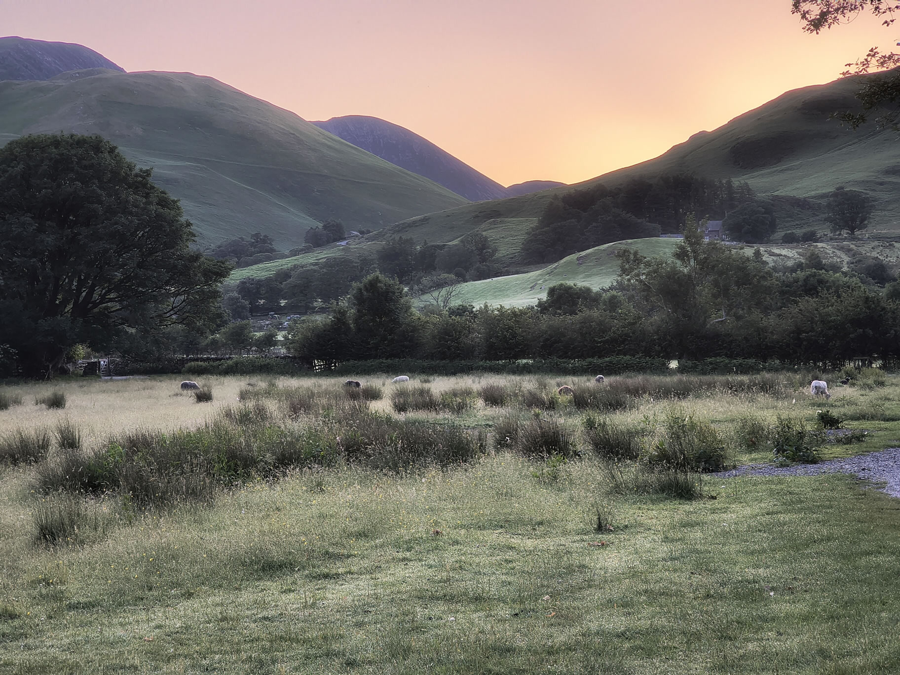 Buttermere Reflections - Image 4, Jun 25, 2026