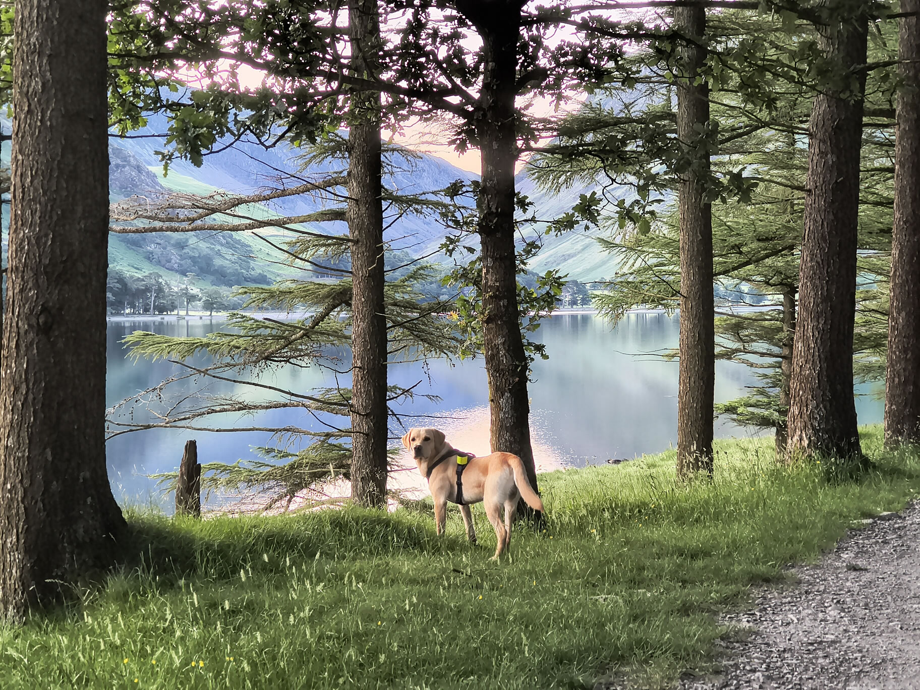 Buttermere Reflections - Image 7, Jun 25, 2026