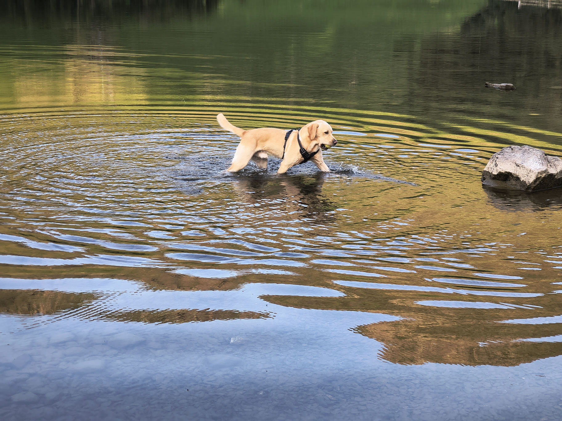 Buttermere Reflections - Image 17, Jun 25, 2026