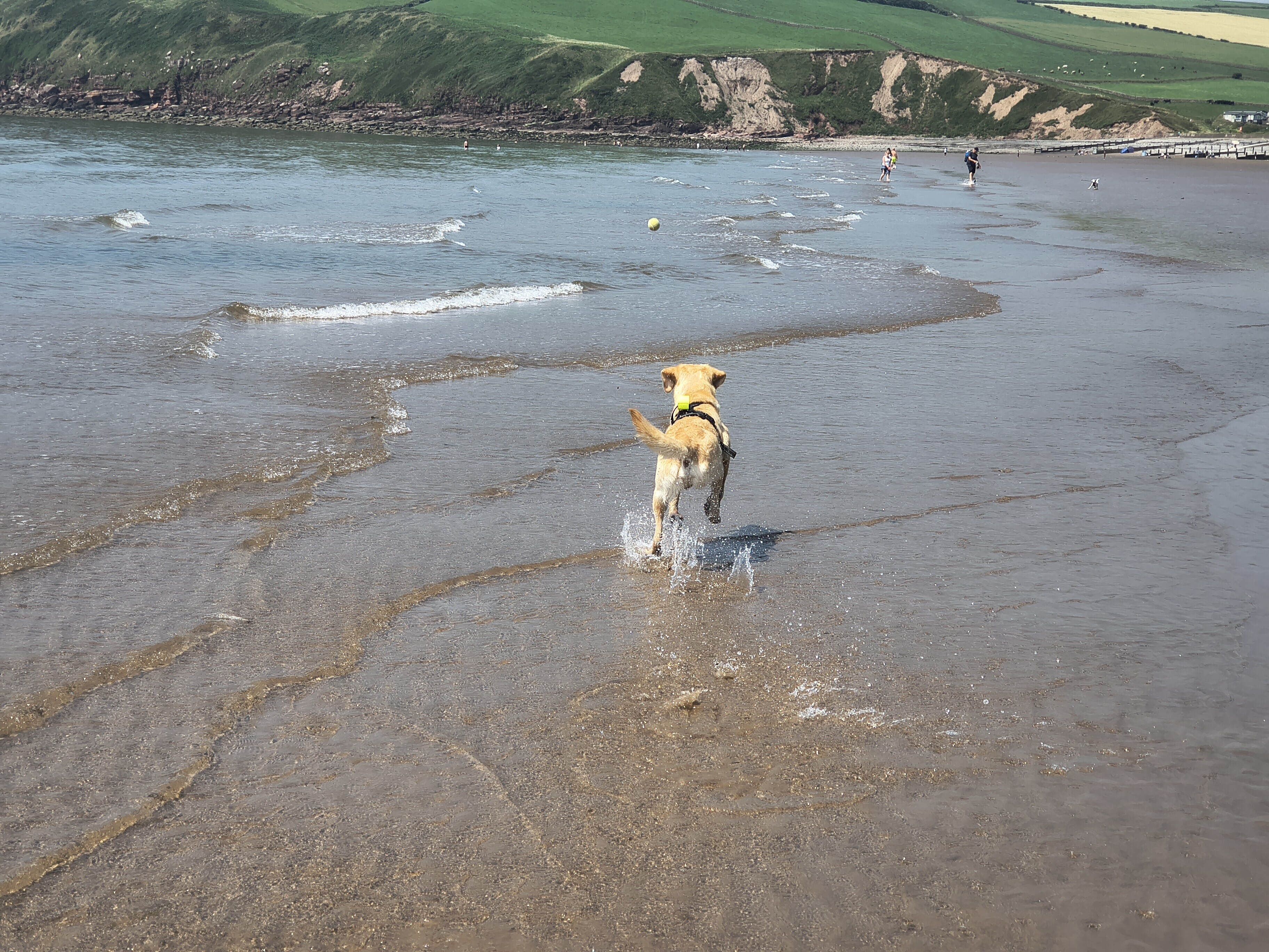 St Bees - Image 3, Jun 26, 2026