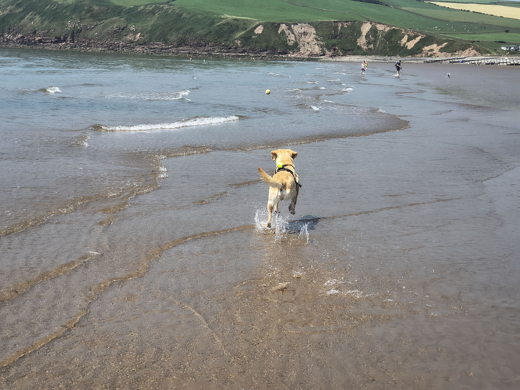 St Bees - Image 3, Jun 26, 2026